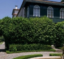 Casa dos Lagos Casa dos Lagos