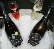 Vinhos Norte Vinhos Norte